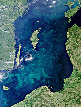 Baltic Sea Algae blooming